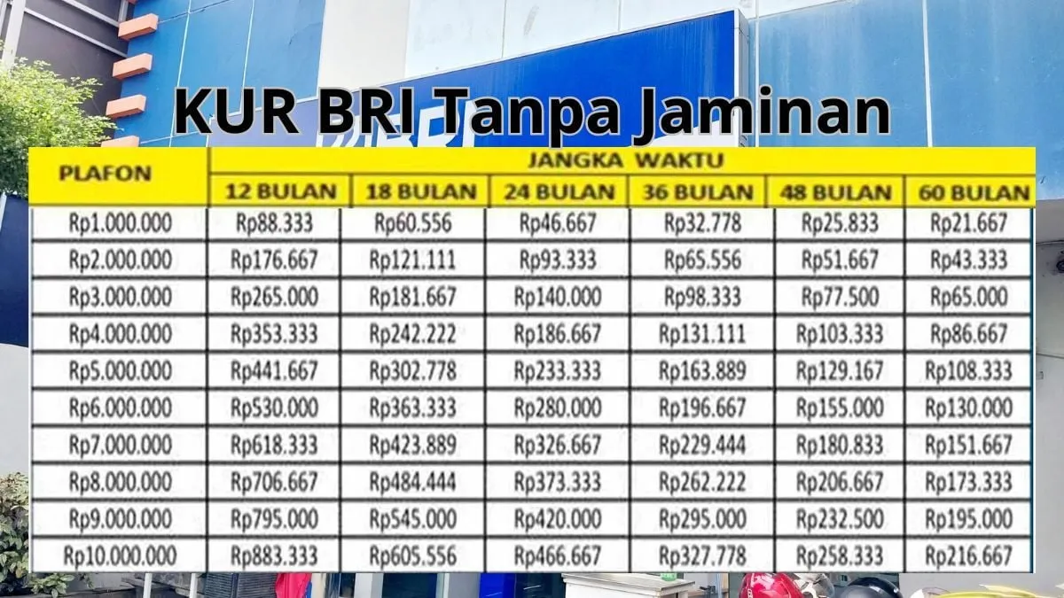 KUR BRI 2025: Solusi Pembiayaan UMKM dengan Cicilan Ringan dan Tenor Fleksibel, hingga 60 Bulan tanpa Jaminan! 1 KUR BRI 2025: Solusi Pembiayaan UMKM dengan Cicilan Ringan dan Tenor Fleksibel, hingga 60 Bulan tanpa Jaminan!