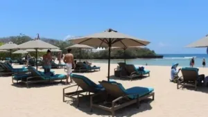 Magnet baru wisata Garut: Domba Merino Australia bikin pengunjung betah berlama-lama!