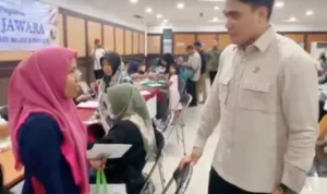 Kip jawara