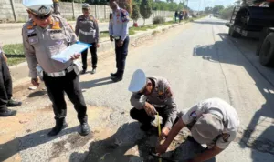 54522695157 img 20241213 wa0013