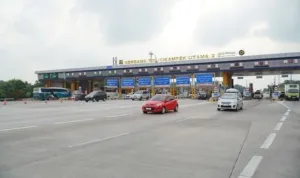 AA1CMppq