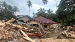 PDIP Sumut Minta Presiden Tetapkan Darurat Bencana Nasional di Sumatera