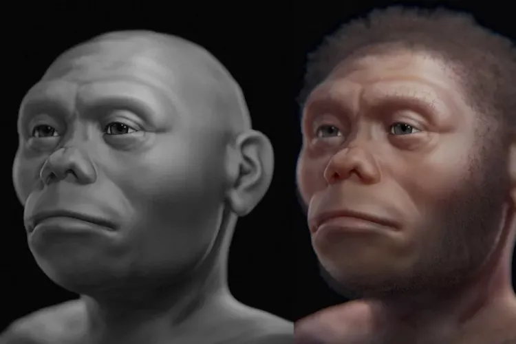 Penyebab Kepunahan Hobbit Flores: Kekeringan, Letusan Gunung Berapi, dan Persaingan Manusia Modern 1 Penyebab Kepunahan Hobbit Flores: Kekeringan, Letusan Gunung Berapi, dan Persaingan Manusia Modern