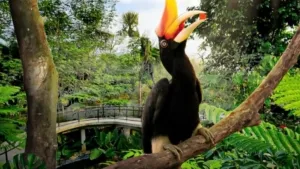 Harga Tiket Aviary Park Tangerang, Promo B4G5 Tahun Baru 2026