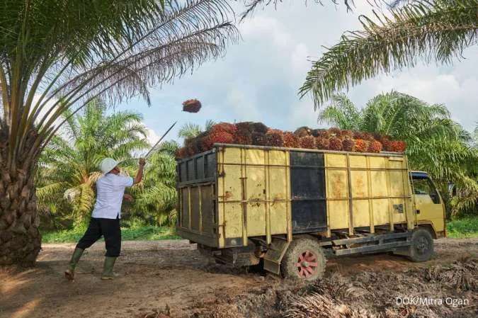 GAPKI: Sertifikasi ISPO-RSPO Bukti Industri Sawit Patuh Lingkungan 1 GAPKI: Sertifikasi ISPO-RSPO Bukti Industri Sawit Patuh Lingkungan
