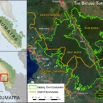 Hulu DAS Batang Toru