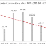 Hutan Alam