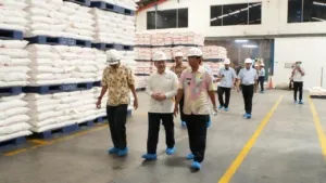 Kapasitas Produksi Bogasari Tangerang Melonjak Jadi 500 Ton per Hari, Jawab Lonjakan Permintaan Terigu Nasional