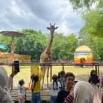 IMG 20251224 WA0048