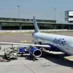 Indigo