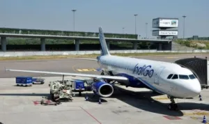 Indigo