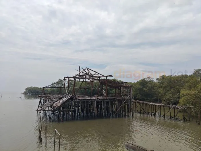 Kebun Raya Mangrove Surabaya