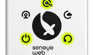 SWS firmware update led sequence