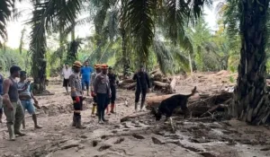 Den K9 Ditpolsatwa Baharkam Polri Berhasil Temukan Satu Korban Bencana Alam di Batang Toru, Sumatera Utara