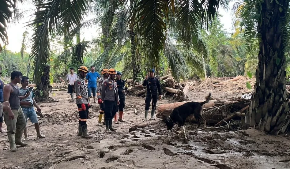 Den K9 Ditpolsatwa Baharkam Polri Berhasil Temukan Satu Korban Bencana Alam di Batang Toru, Sumatera Utara