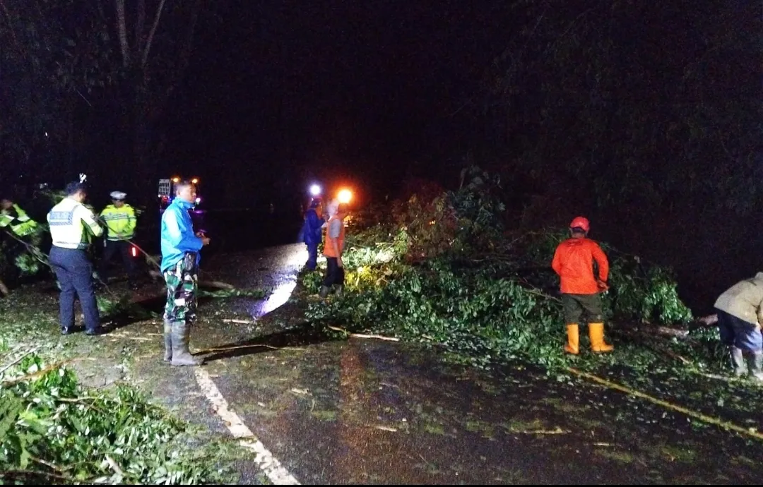 TNI-Polri dan BPBD Trenggalek Sigap Tangani Pohon Tumbang di Jalur Nasional