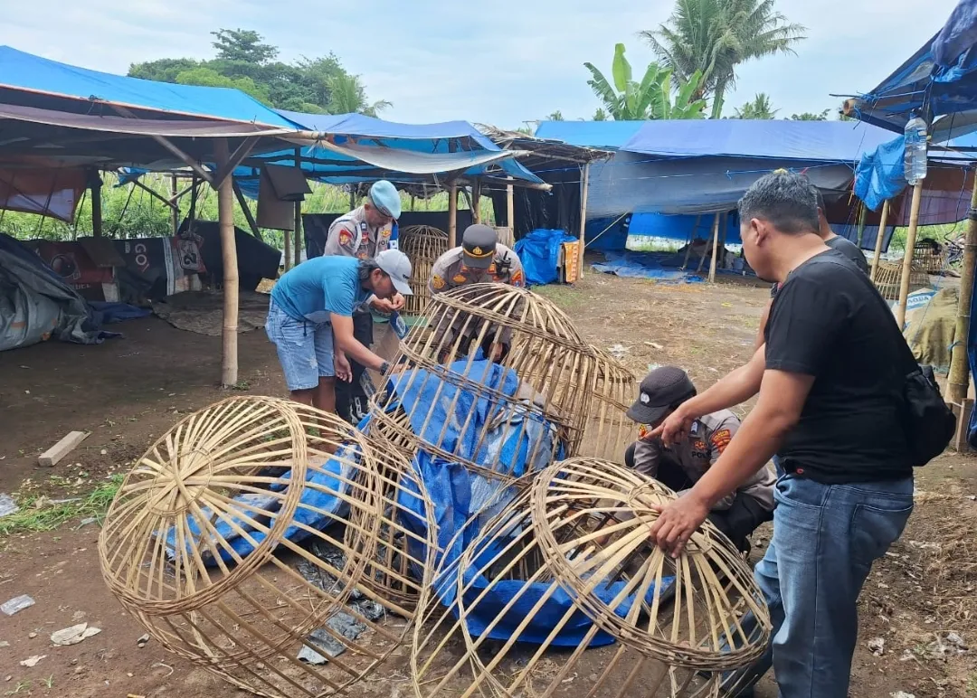 Polresta Banyuwangi Bongkar Arena Judi Sabung Ayam