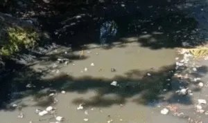 Sungai Brantas Sungai Brantas