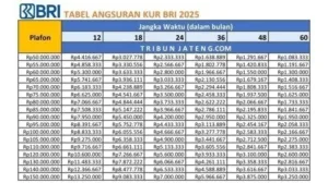 Update KUR BRI Desember 2025: Pinjaman Rp50–100 Juta, Cicilan Paling Ramah untuk UMKM!