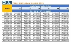 Tabel-Angsuran-KUR-BRI-2025-Plafon-Pinjaman-Rp50-Juta-Rp150-Juta.jpg Tabel Angsuran KUR BRI 2025 Plafon Pinjaman Rp50 Juta Rp150 Juta