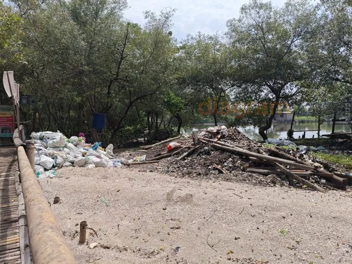 Kebun Raya Mangrove Surabaya