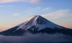 aa