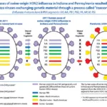 creation of h3n2 influenza virus science source