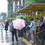 Cuaca, Surabaya