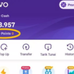 ovo-points-58098.png ovo points 58098