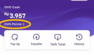 ovo points 58098