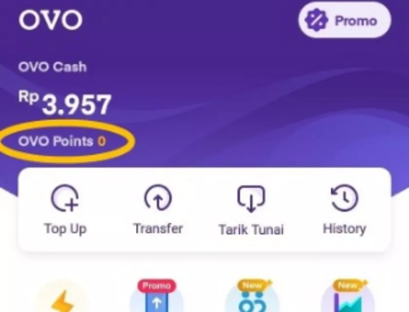 Panduan Lengkap untuk Menghapus Akun OVO dan Mendaftar Ulang