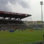Kehadiran Besar di Stadion Tardini untuk Laga Parma vs Fiorentina