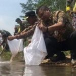 penebaran bibit ikan air tawar di embung