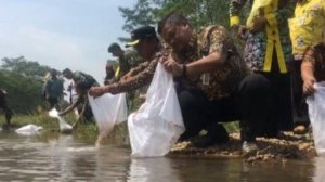 Budidaya ikan di Pariaman ikut terdampak bencana hidrometeorologi, kerugiannya capai Rp959 juta