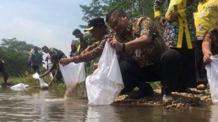 Budidaya ikan di Pariaman ikut terdampak bencana hidrometeorologi, kerugiannya capai Rp959 juta