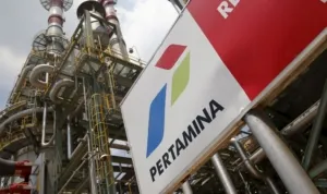 Kasus Korupsi di Pertamina, Anak Riza Chalid