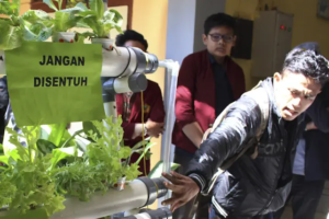 Kolaborasi Pemkot Surabaya dan Australia Berhasil Tingkatkan Kesejahteraan Perempuan