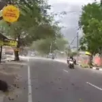 1704284688249.jpeg Cuaca Ekstrem ,Angin Kencang, BMKG