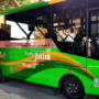 Transportasi Massal , Trans Jatim,Jawa Timur