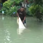 65c38729b3d20.jpg Banjir ,Lamongan, Pemkab ,