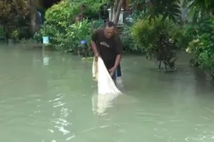 Banjir ,Lamongan, Pemkab ,