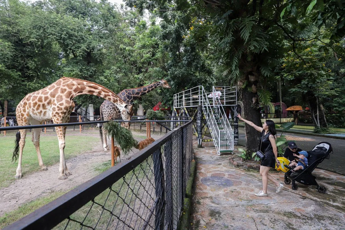 Pariwisata Surabaya Tumbuh Pesat di Tahun 2025