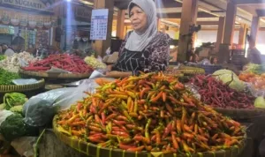 75475 harga cabai di pasar kawasan yogyakarta meroket