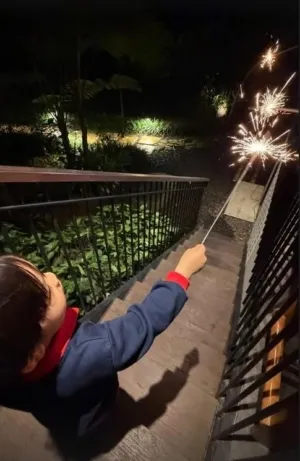 10 Potret Artis Indonesia Rayakan Tahun Baru 2026 dengan Meriah