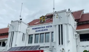 IMG 20230203 WA0012