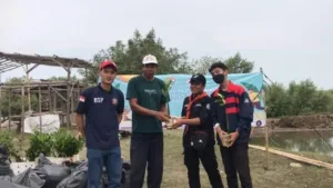 Upaya Konservasi Ekosistem Mangrove di Surabaya