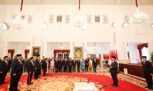 Dewan Energi Nasional, Swasembada Energi