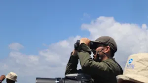 Fenomena Burung Migrasi dari Rusia dan Tiongkok di Jawa Timur