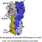 N121K.JPG Super Flu, Influenza