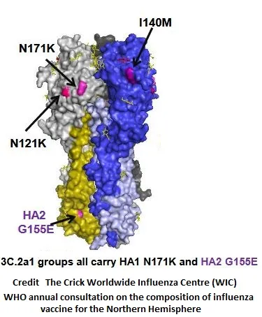 Penyebab dan Gejala Super Flu, Influenza yang Memicu Kekhawatiran di Indonesia 1 Super Flu, Influenza